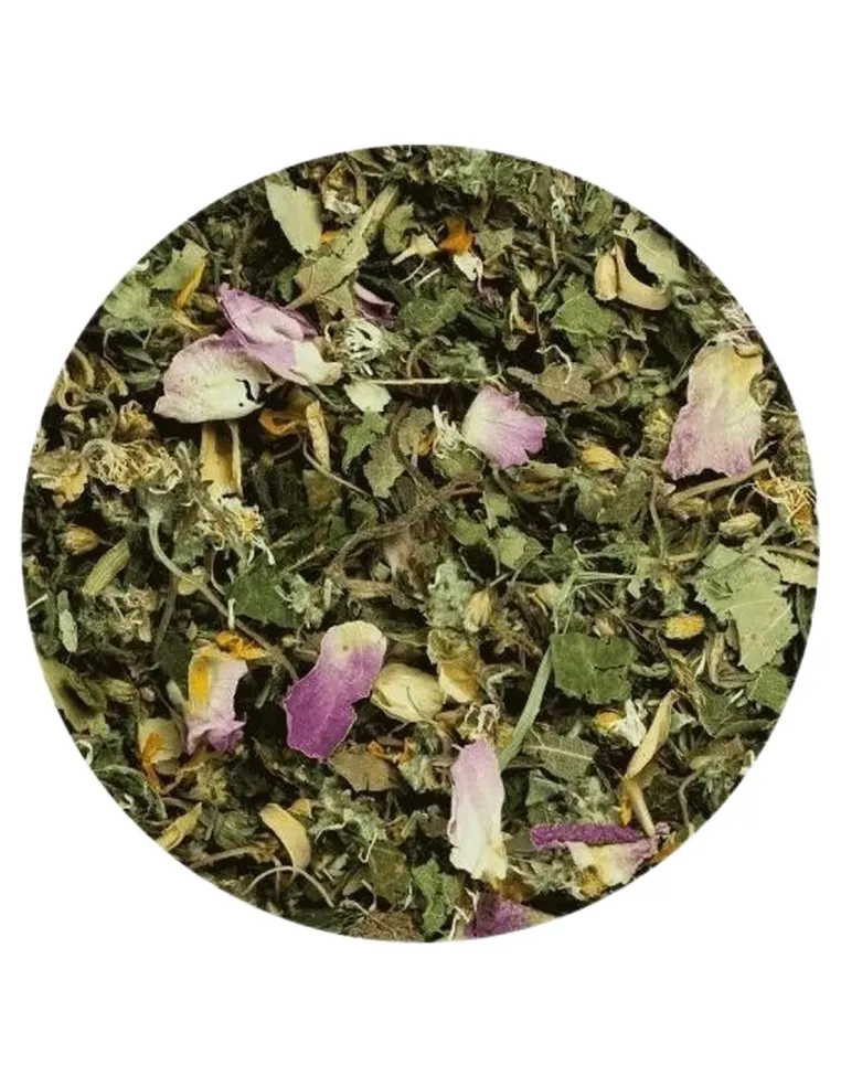 Terra canis herbal metabolismo 100 gr  