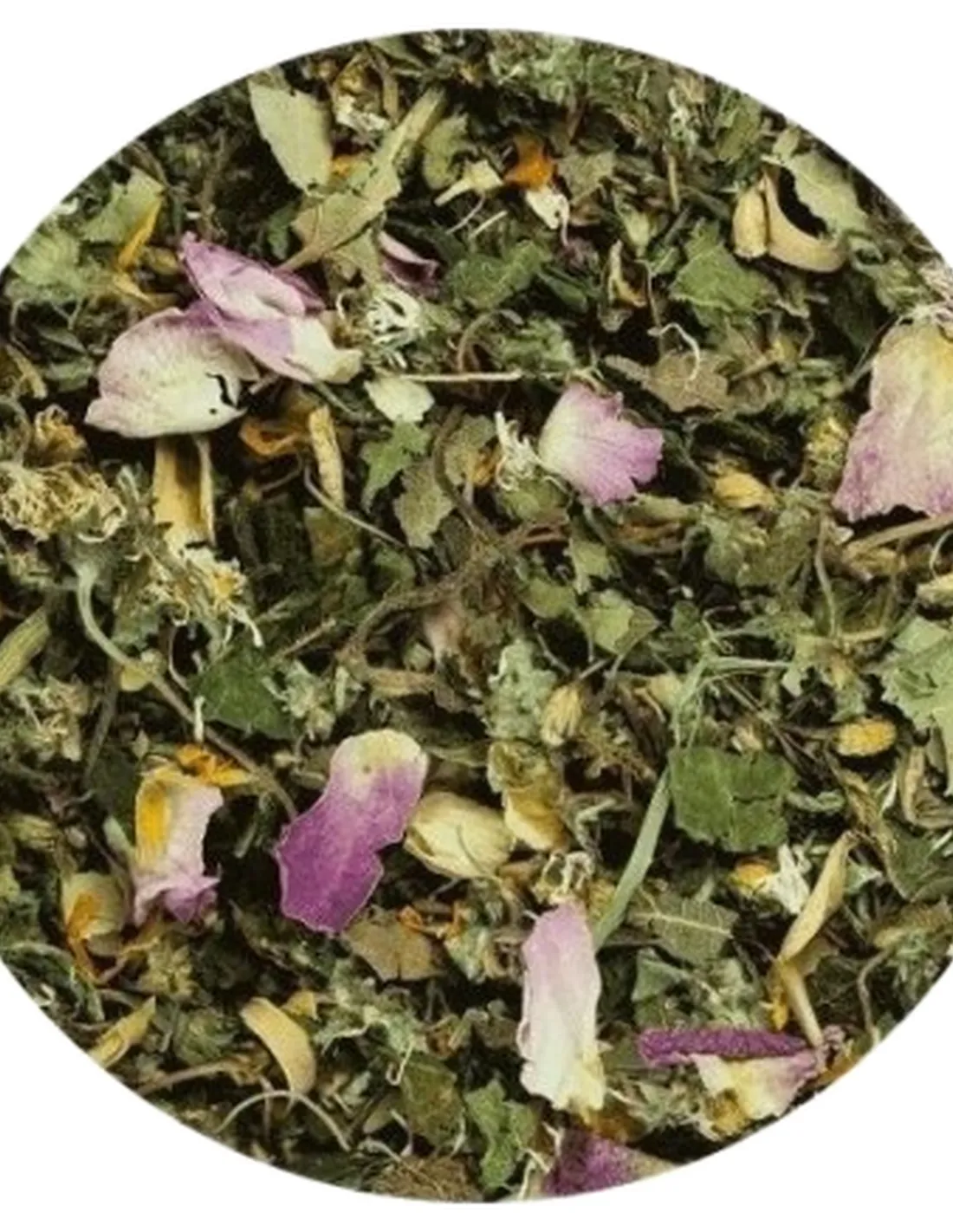 Terra canis herbal metabolismo 100 gr  