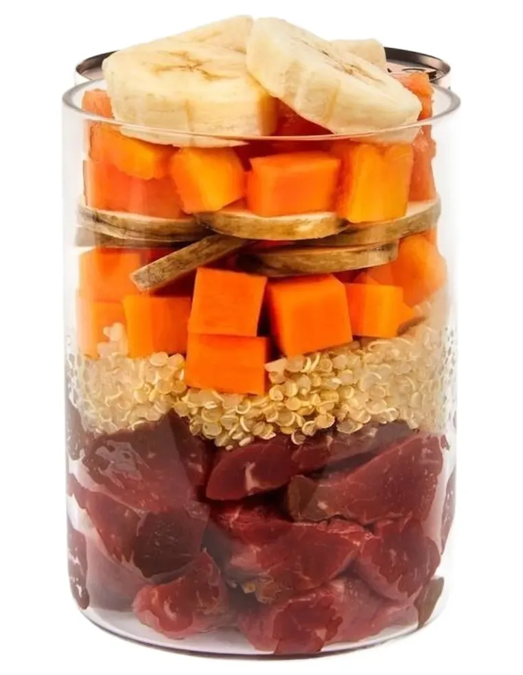 Terra Canis Menù Namibia Kalahari Struzzo con Yam Papaya e Baobab 400 gr  