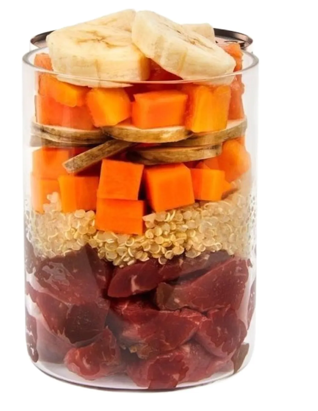 Terra Canis Menù Namibia Kalahari Struzzo con Yam Papaya e Baobab 400 gr  