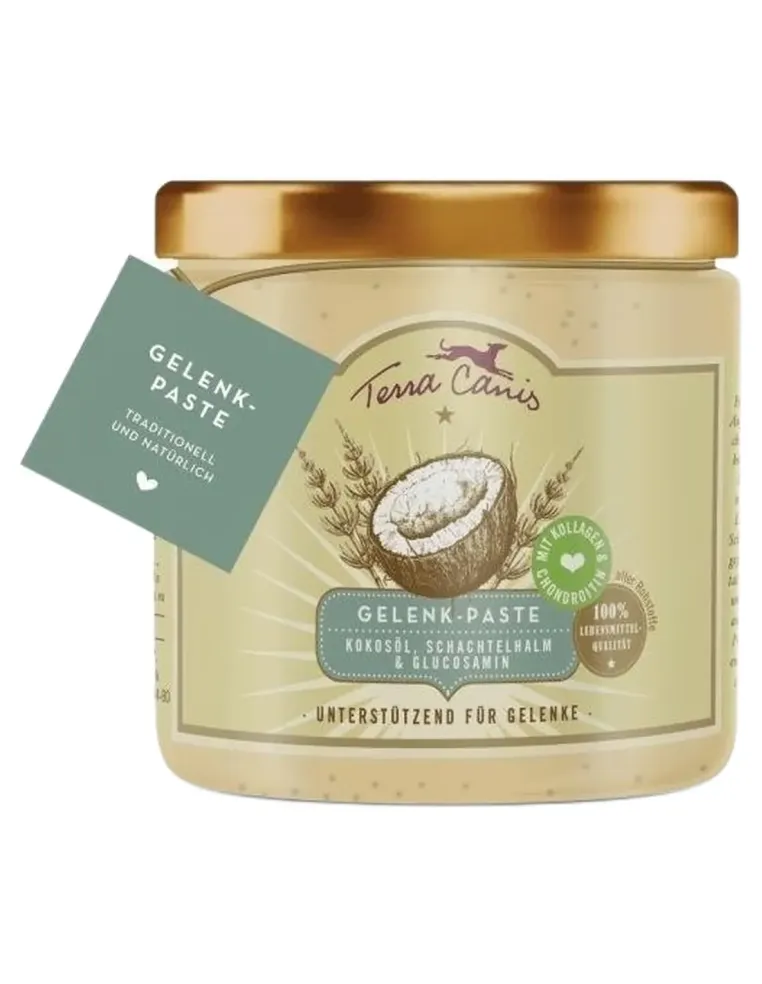Terra canis pasta articolazione 250 ml  