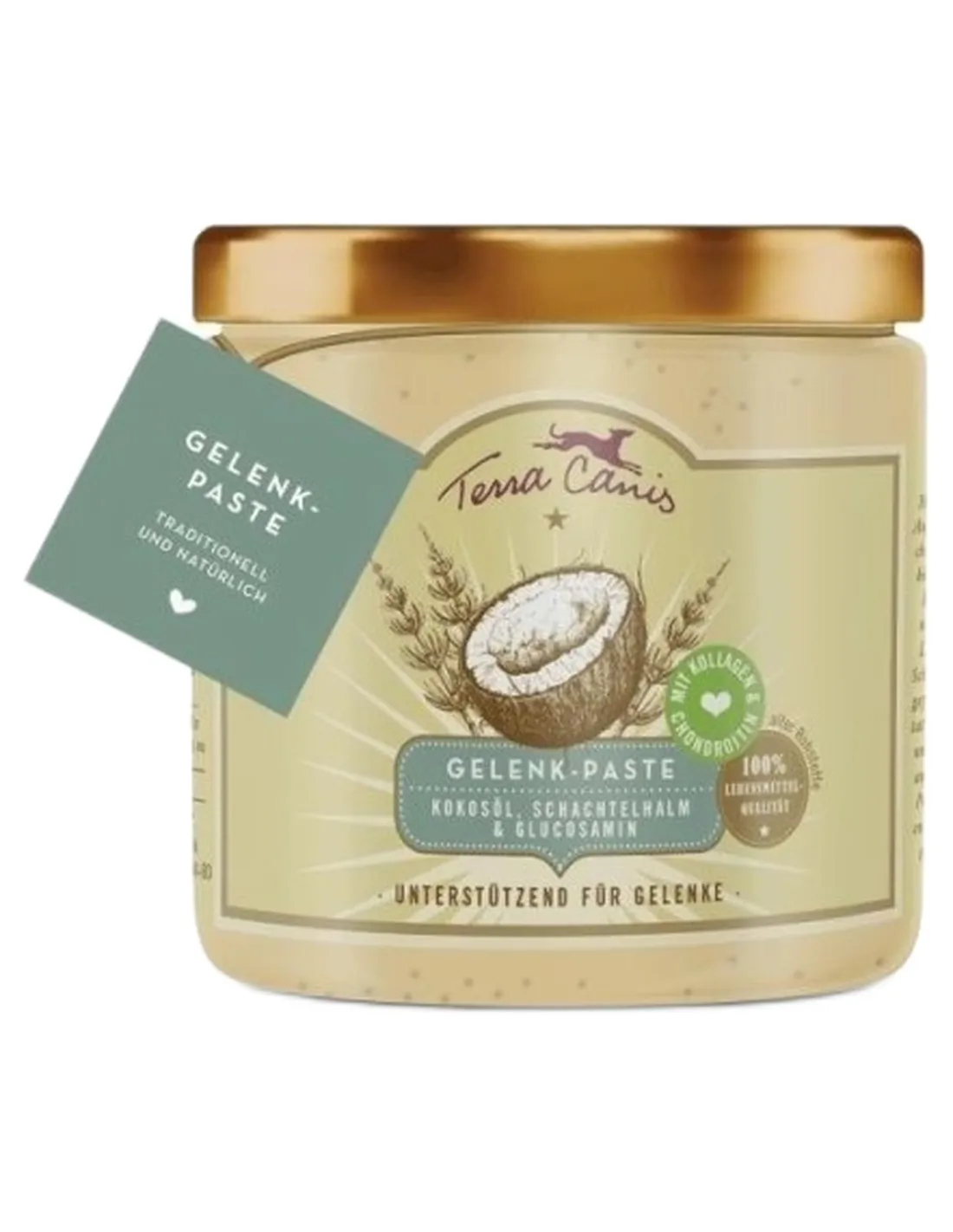 Terra canis pasta articolazione 250 ml  