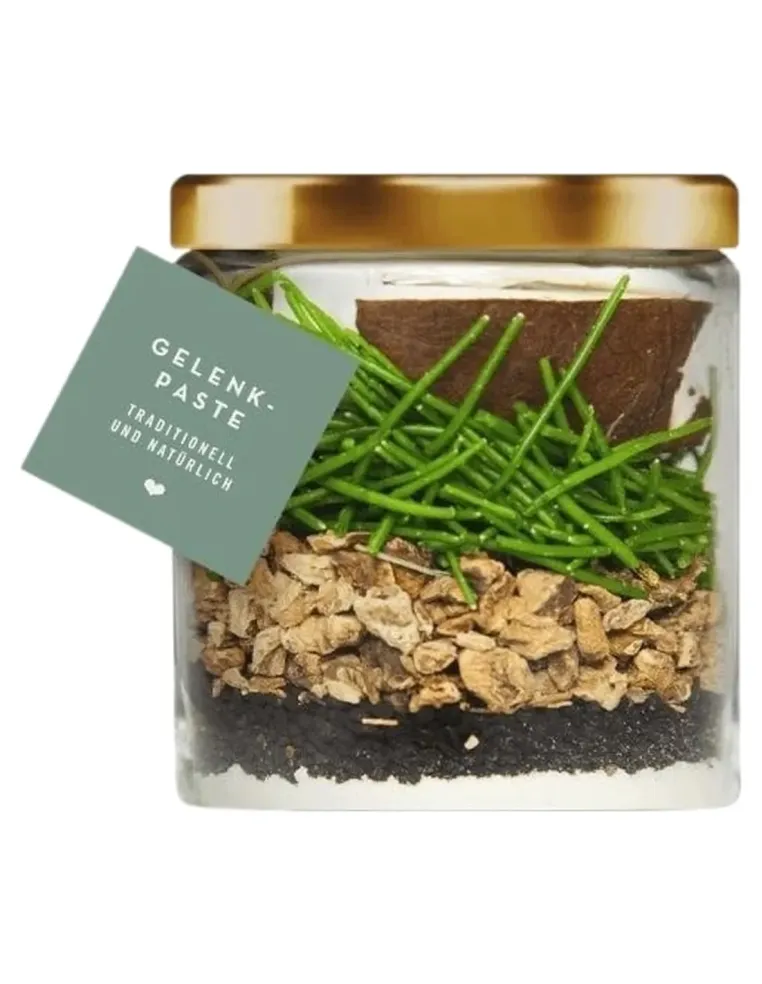 Terra canis pasta articolazione 250 ml  