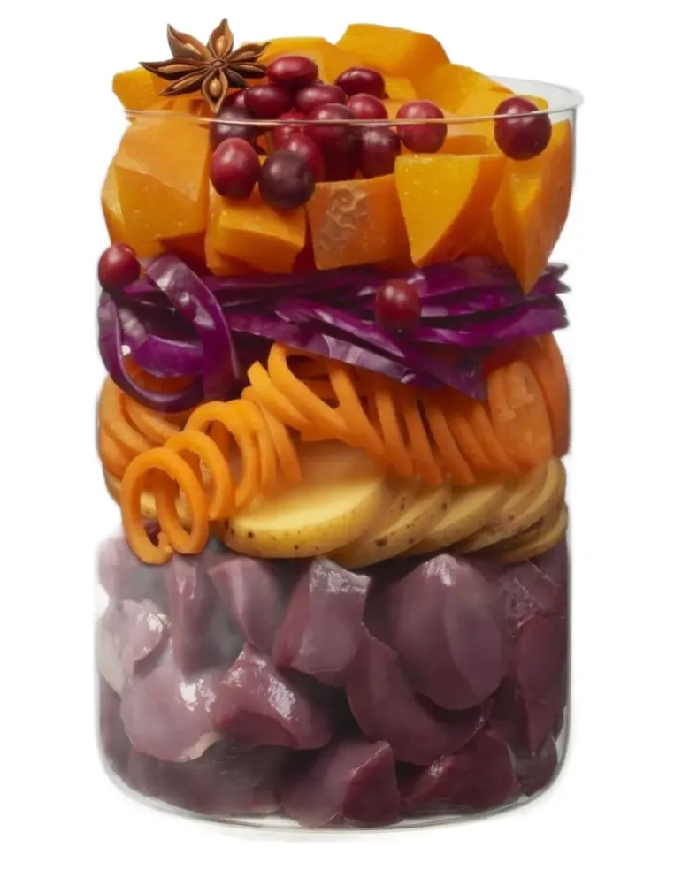 Terra Canis Winter Love Limited Edition Oca con Mirtilli Rossi Castagne e Spezie Invernali 400 gr  