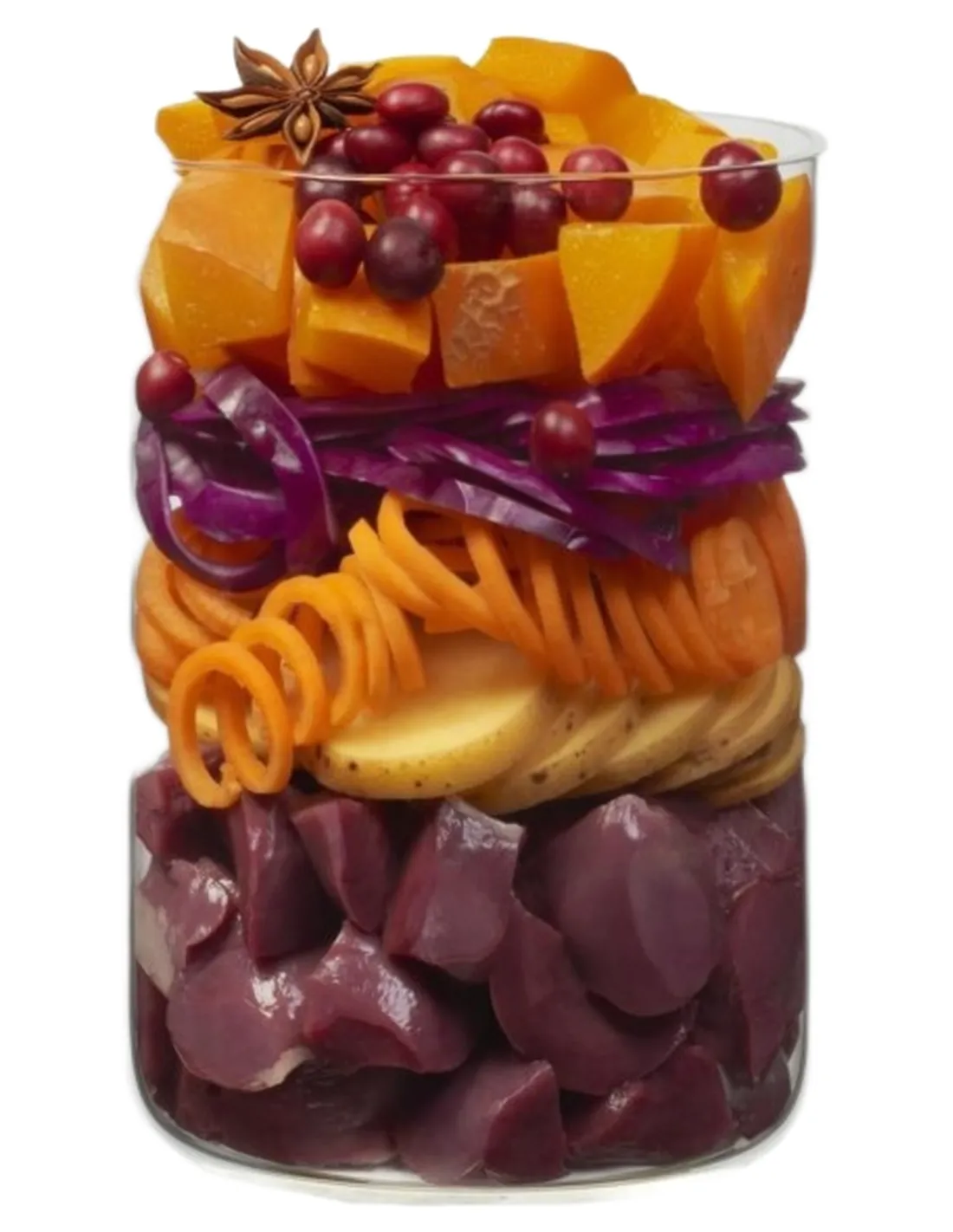 Terra Canis Winter Love Limited Edition Oca con Mirtilli Rossi Castagne e Spezie Invernali 400 gr  