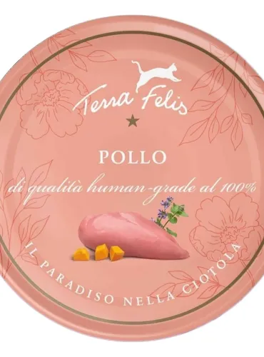 Terra felis pollo 80 gr  