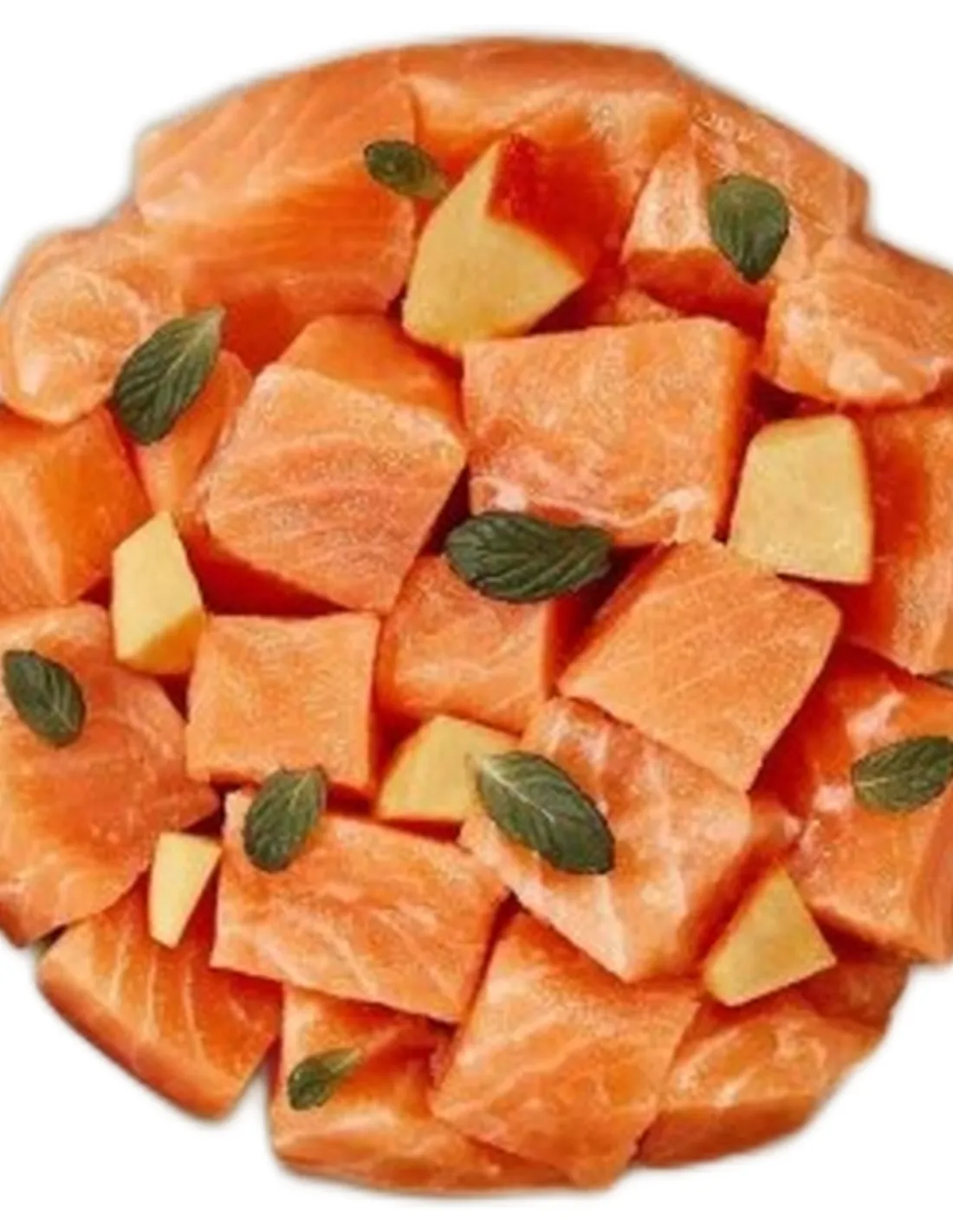 Terra felis salmone 80 gr  