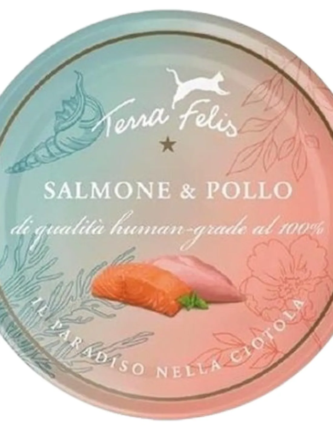 Terra felis salmone e pollo 80 gr  
