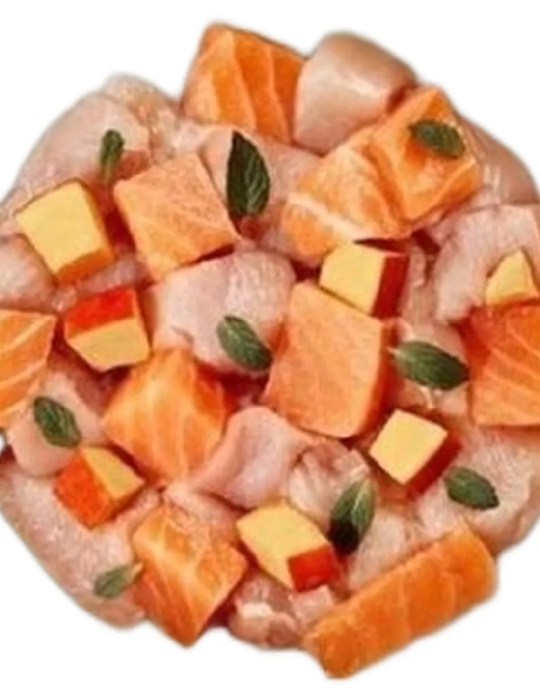 Terra felis salmone e pollo 80 gr  