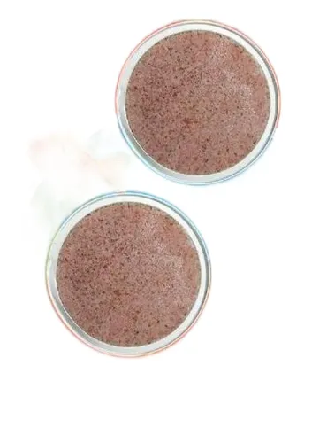 Tetra goldfish holiday  