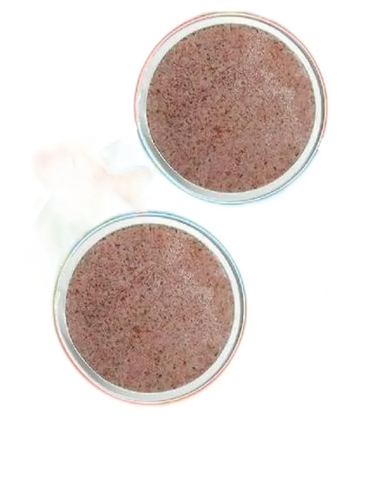 Tetra goldfish holiday  