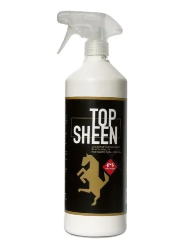 Fm italia top sheen 1 lt