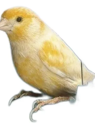 Ferplast trevi 4405 bagnetto esterno  