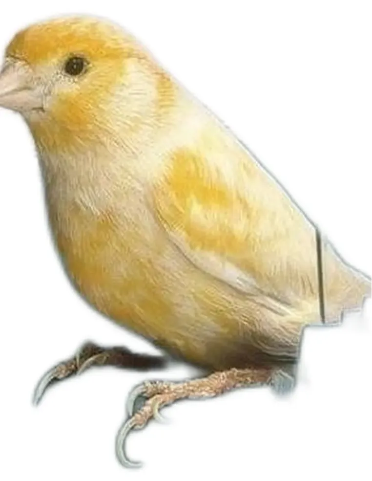 Ferplast trevi 4405 bagnetto esterno  