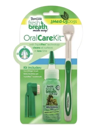 Tropiclean fresh breath oral care kit large  