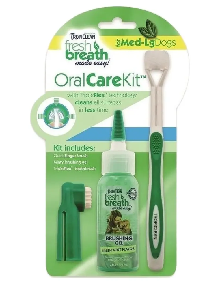 Tropiclean fresh breath oral care kit large  