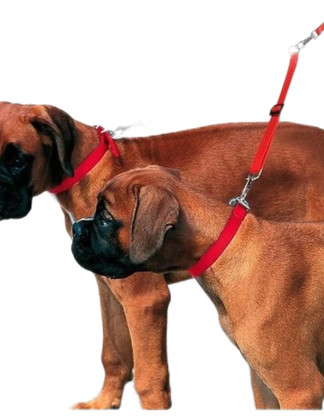 Ferplast twin 15/42 terminale  