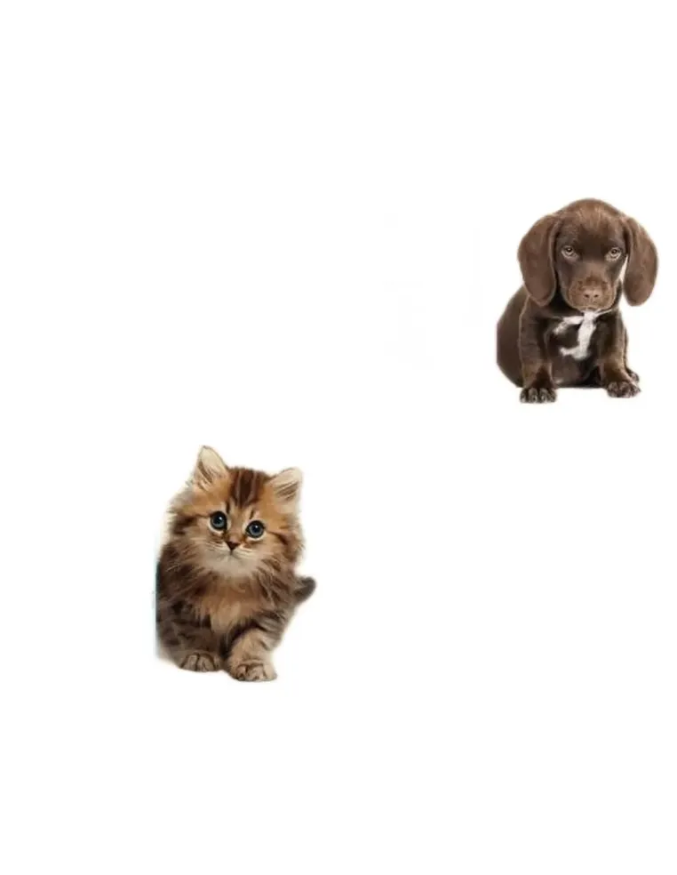 Baby Welly Kitten 180 gr  