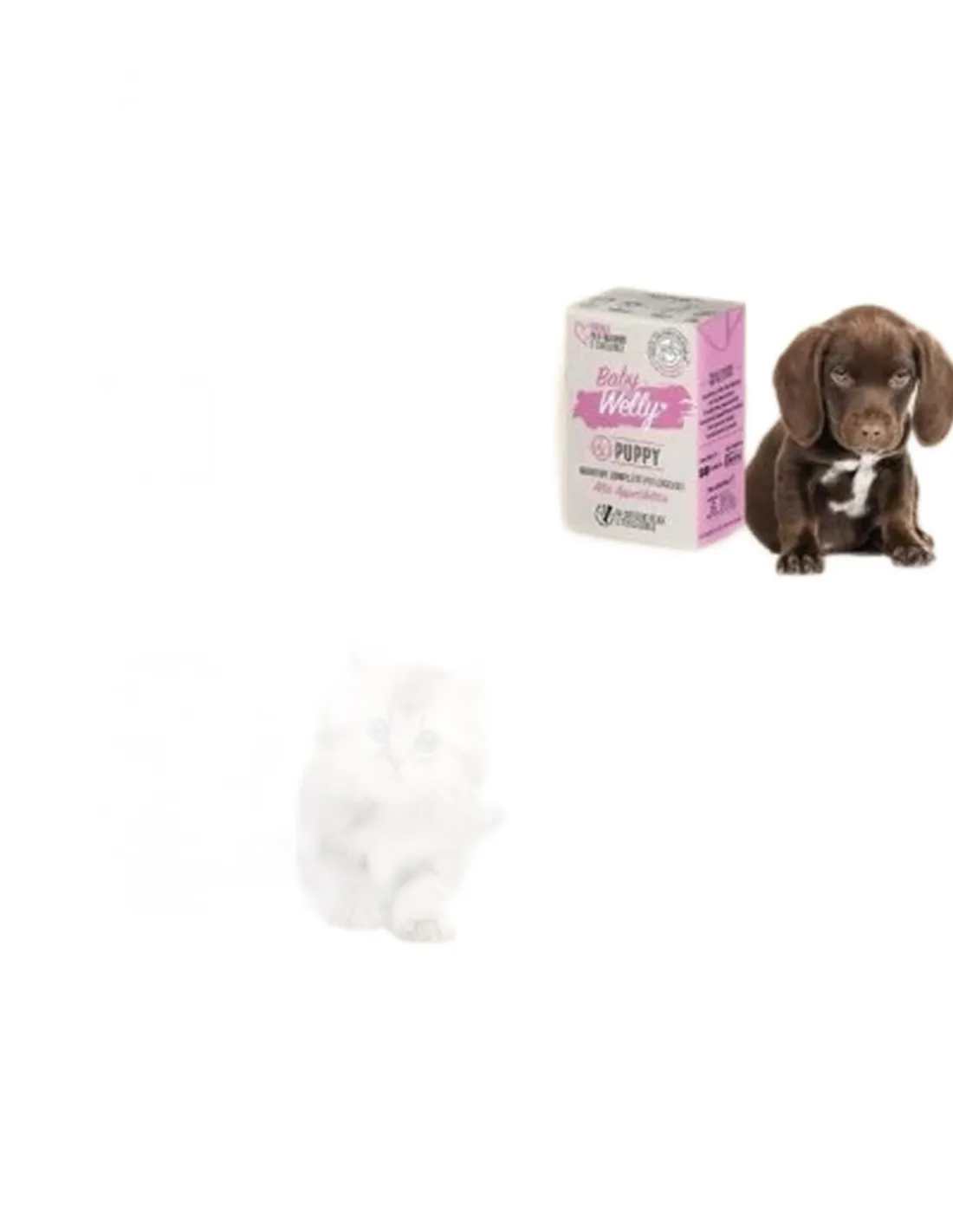 Baby Welly Kitten 180 gr  