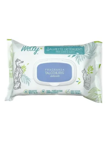 Welly salviette detergenti talco e iris delicato 40 pz