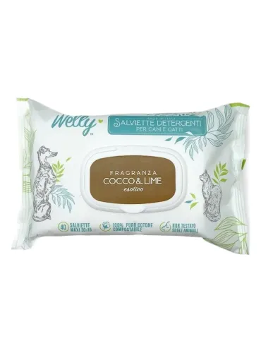 Welly salviette detergenti cocco e lime esotico 40 pz