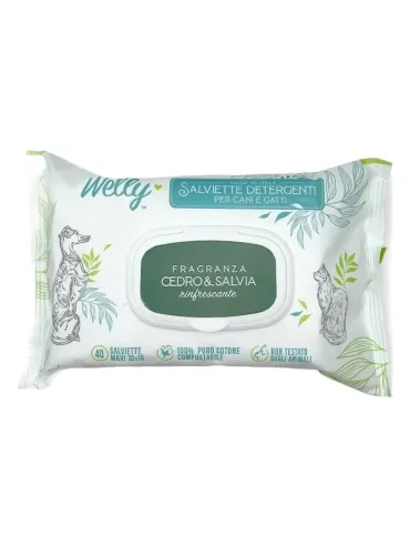 Welly salviette detergenti cedro e salvia rinfrescante 40 pz  