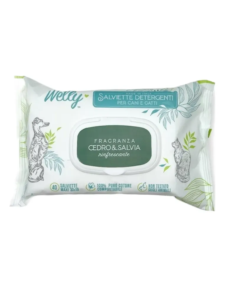 Welly salviette detergenti cedro e salvia rinfrescante 40 pz  
