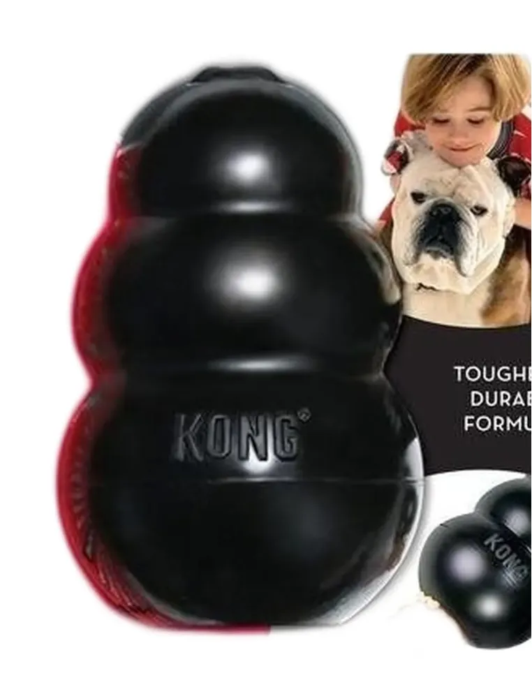 Kong small extreme cani 10 kg  
