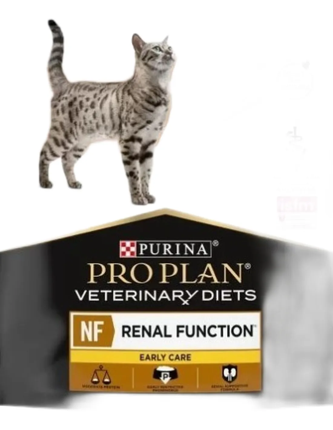 Purina Proplan Diet Nf Gatto Early Care 350 Gr Purina Proplan Diet Nf Gatto Early Care 350 Gr