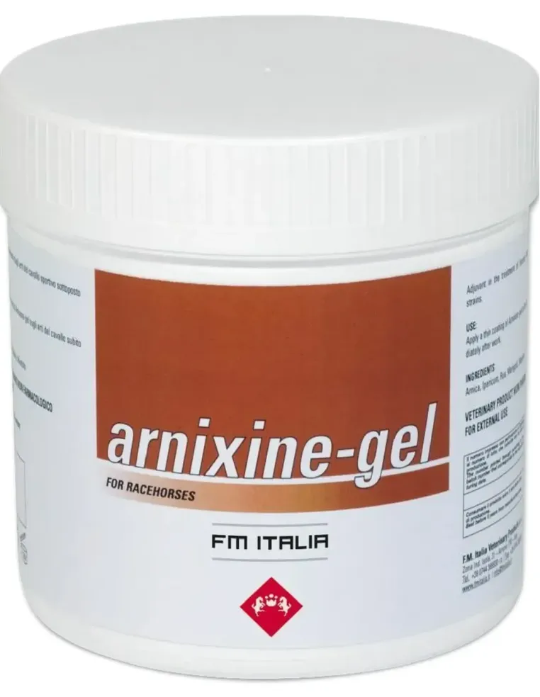 Arnixine-gel FM Italia 750 ml