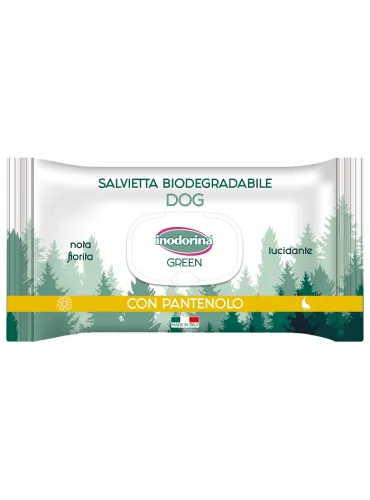 Inodorina Salviette Green Lucida 30 pezzi