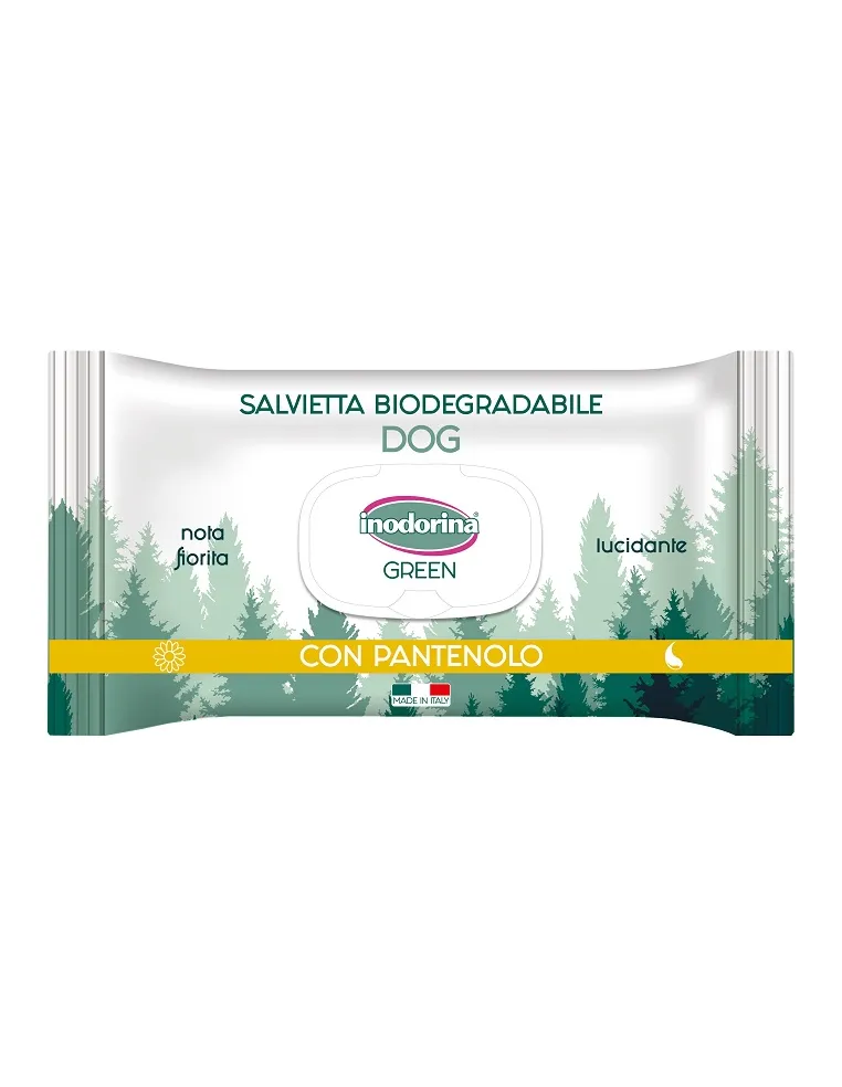 Inodorina Salviette Green Lucida 30 pezzi
