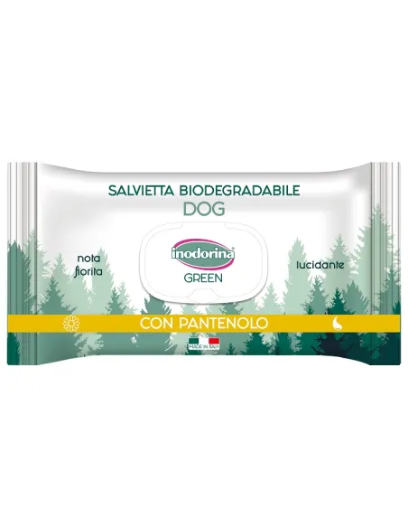 Inodorina Salviette Green Lucida 30 pezzi