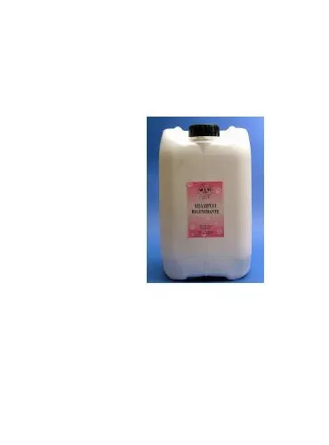 Shampoo Rigenera Semi Argan 250ml