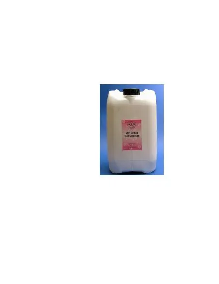 Shampoo Rigenera Semi Argan 250ml