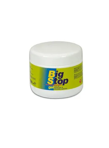 Big Stop Gel 250 Ml