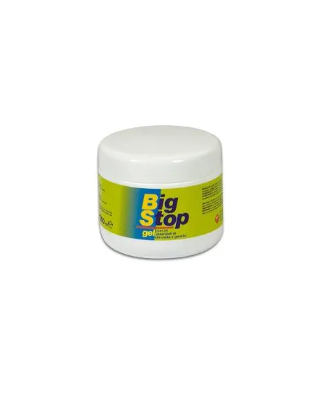 Big Stop Gel 250 Ml