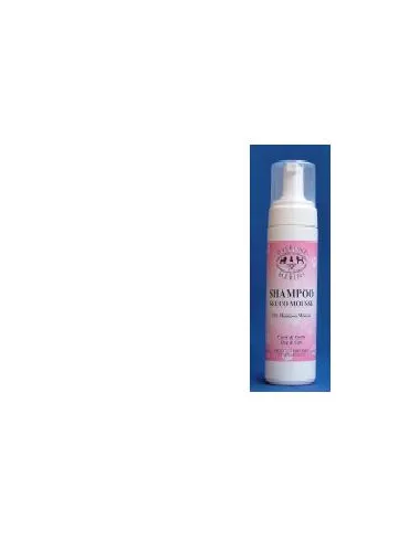 Shampoo Secco Mousse 200ml