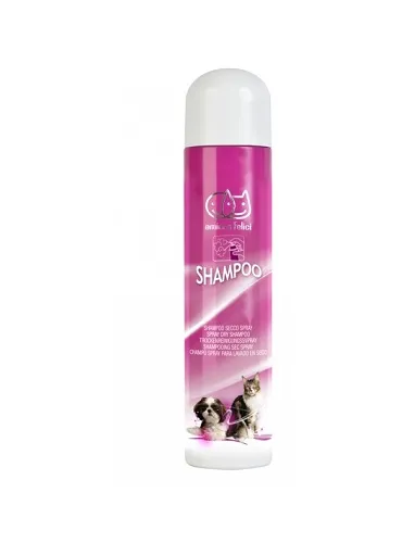 Shampoo Secco Schiuma 300ml