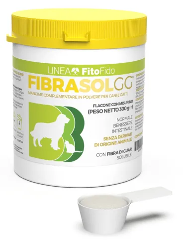 Fibrasol GG 300 Gr