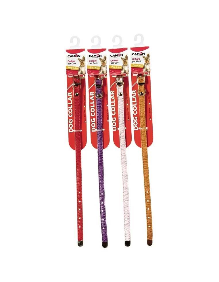 Collare Cane Cinghia 10x300 mm