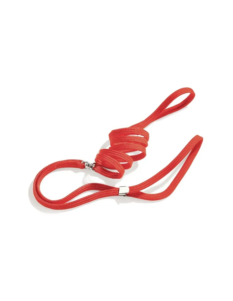 Completo Pinza Mm 5x1200