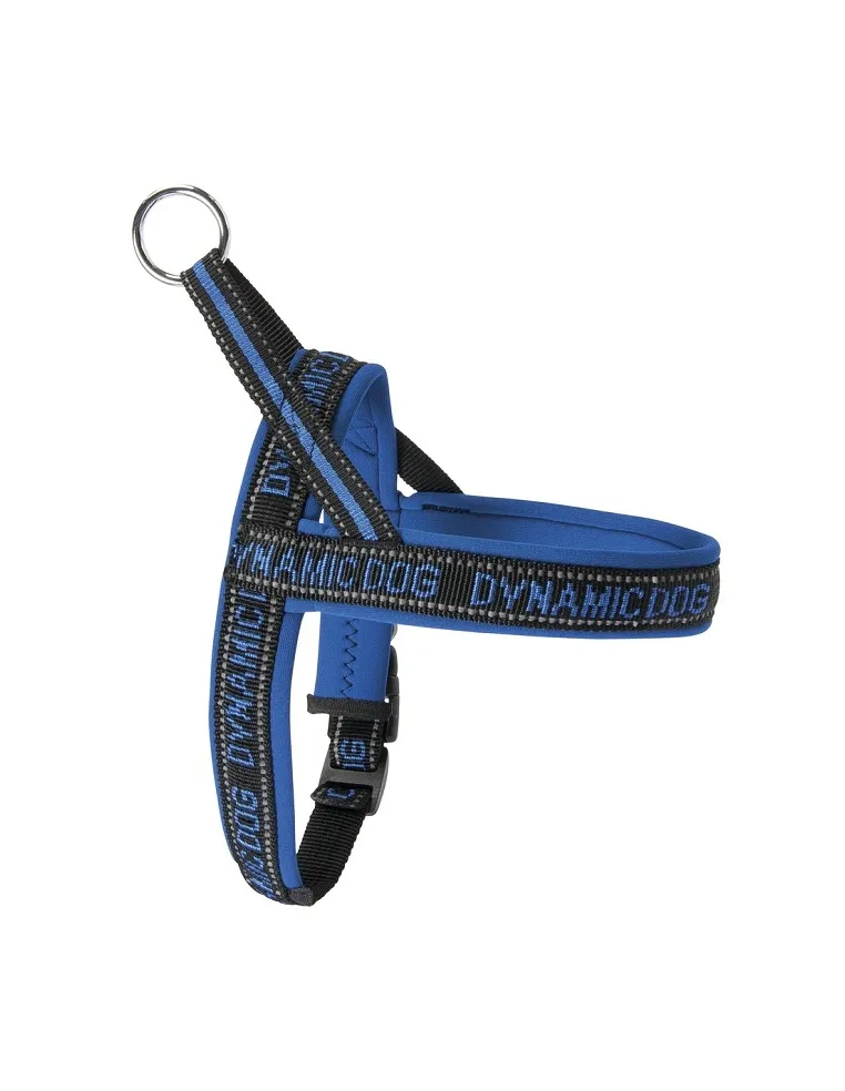 Pettorina Neoprene Dynamic Blue 80mm - Camon