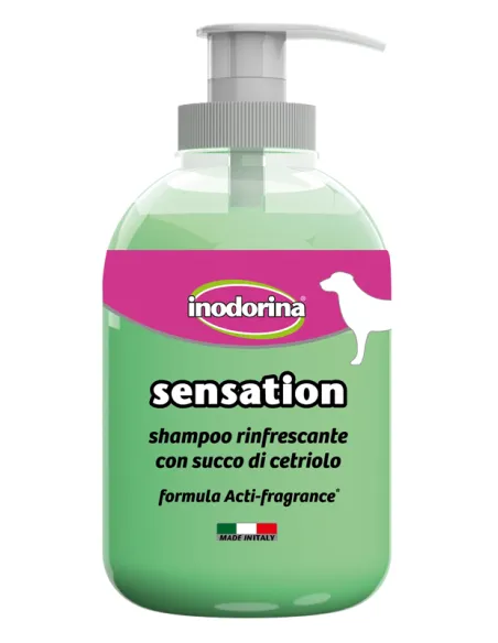 Inodorina Sensation Rinfrescante 300 ml Inodorina Sensation Rinfrescante 300 ml