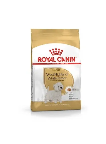 West Highland Terrier 21 1,5 Kg R.C.