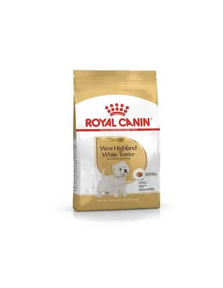 West Highland Terrier 21 1,5 Kg R.C.