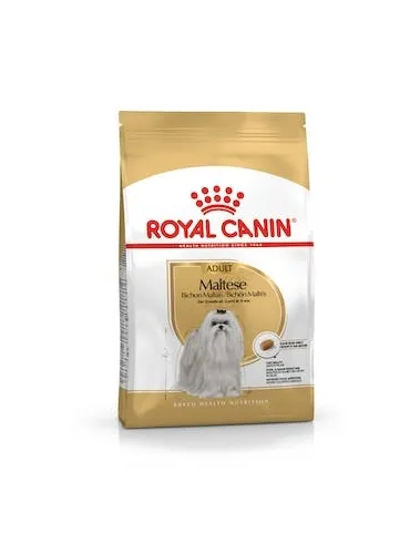 Maltese 24 1,5 Kg Royal Canin