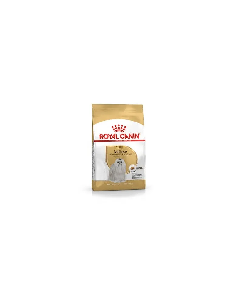 Maltese 24 1,5 Kg Royal Canin