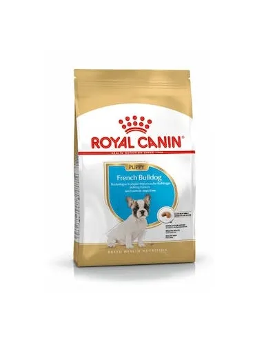 Bulldog Francese Junior 30 3 Kg Royal Canin