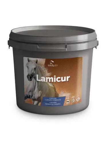 Lamicur 2000 Gr